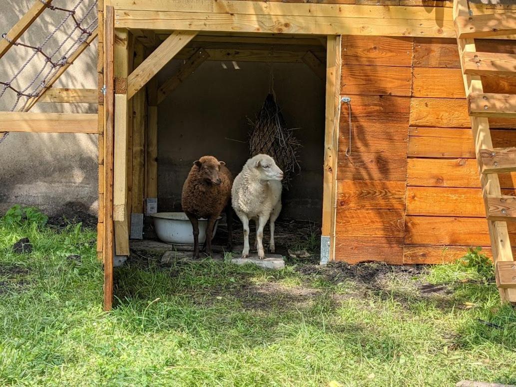 Helenes Ferienwohnung Auf Dem Bauernhof - Lausitzer Seenland Lauta 외부 사진